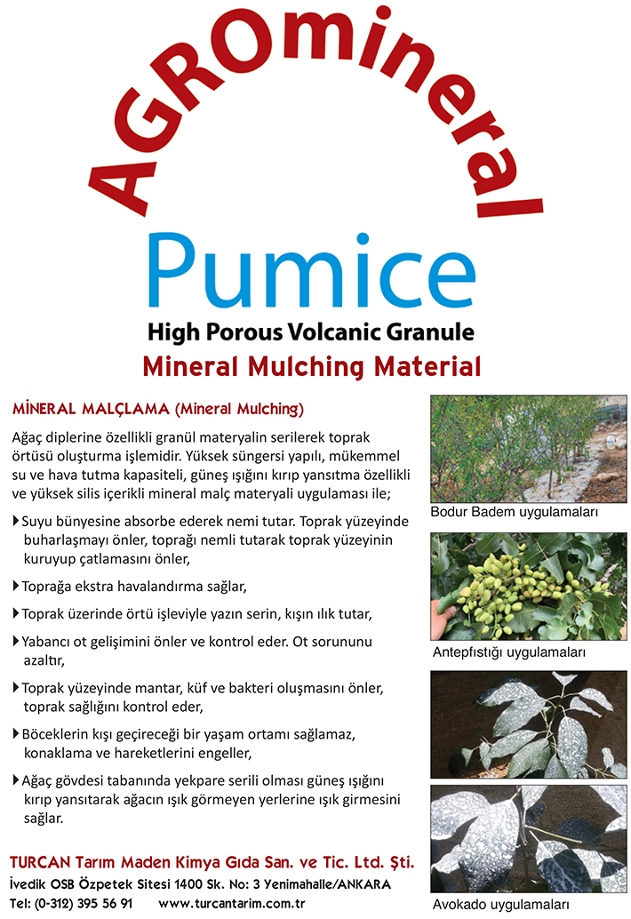 AgromineralPumice